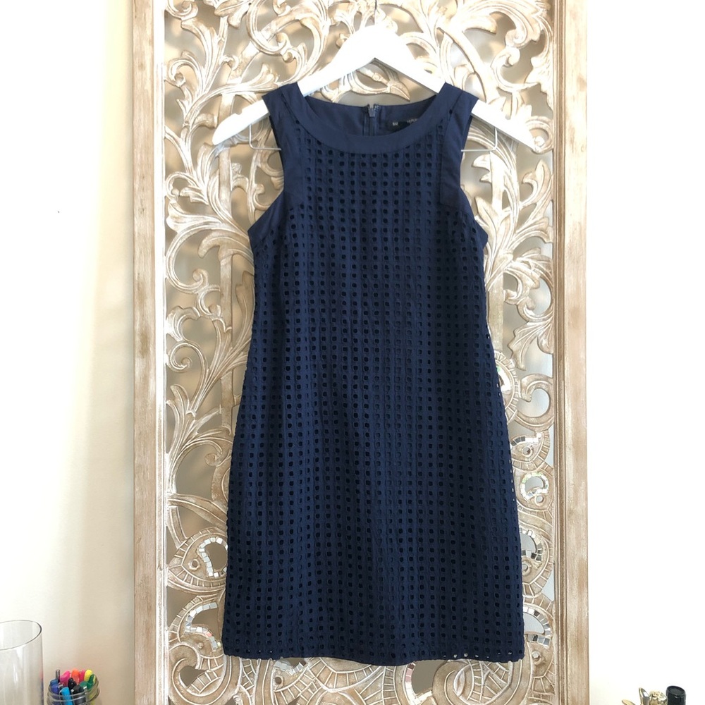 Banana Republic Shift Dress 00P